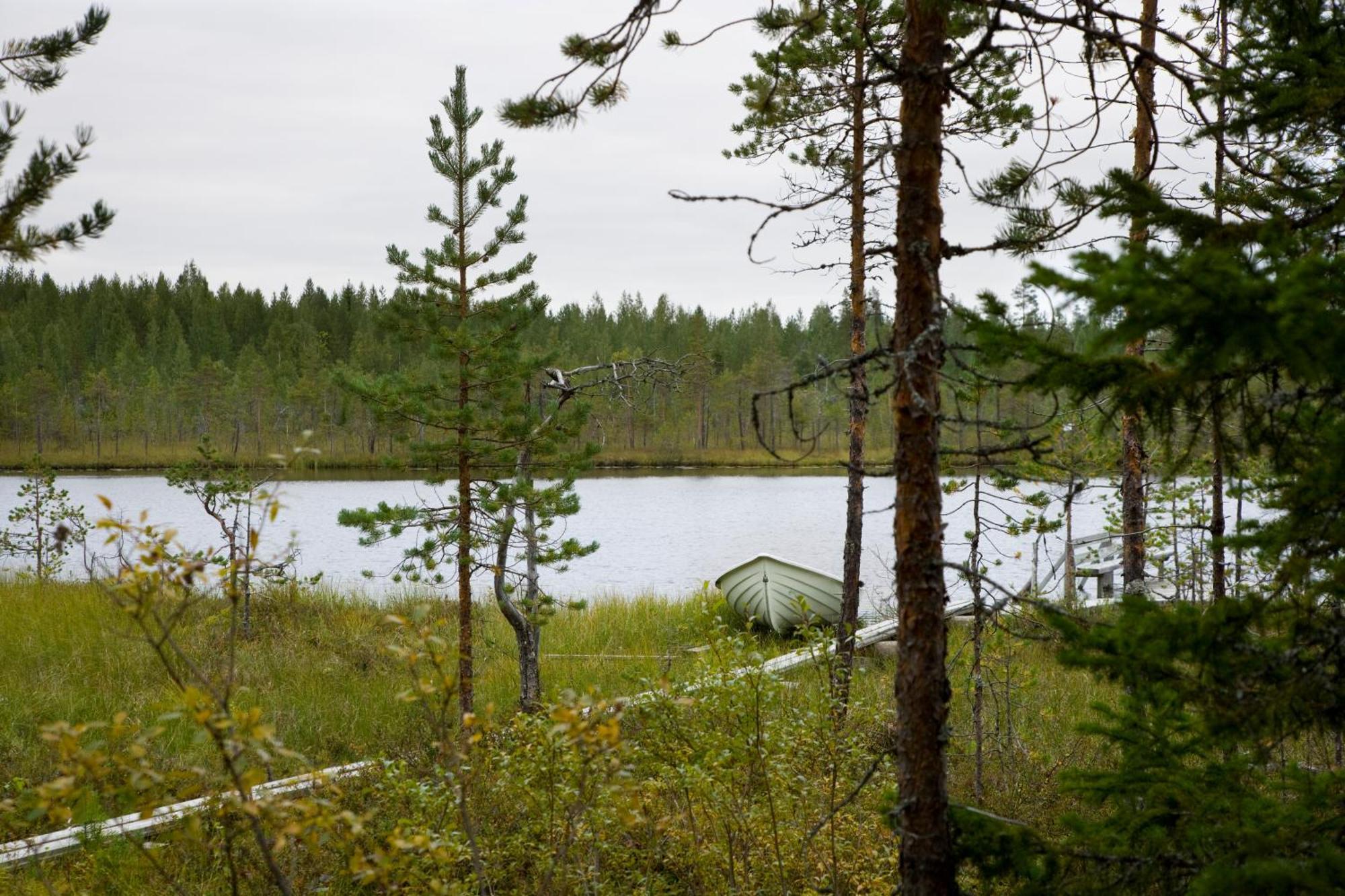 Villa Ukonloma Haerkaelampi à Rovaniemi Extérieur photo